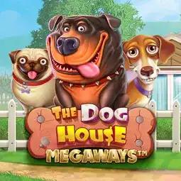 The Dog House Megaways gra w Mr Bet Casino dla graczy z Polski
