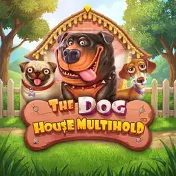 The Dog House Multihold gra w Mr Bet Casino dla graczy z Polski